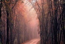 快乐分享：荨麻疹天涯论坛中的病友聚会（标题，10字以内）